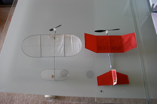 Illustration for article titled Carbon Butterfly Gallery: RC Plane Lighter Than a Sheet of Paper